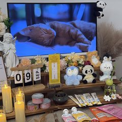 宠物家长客户见证