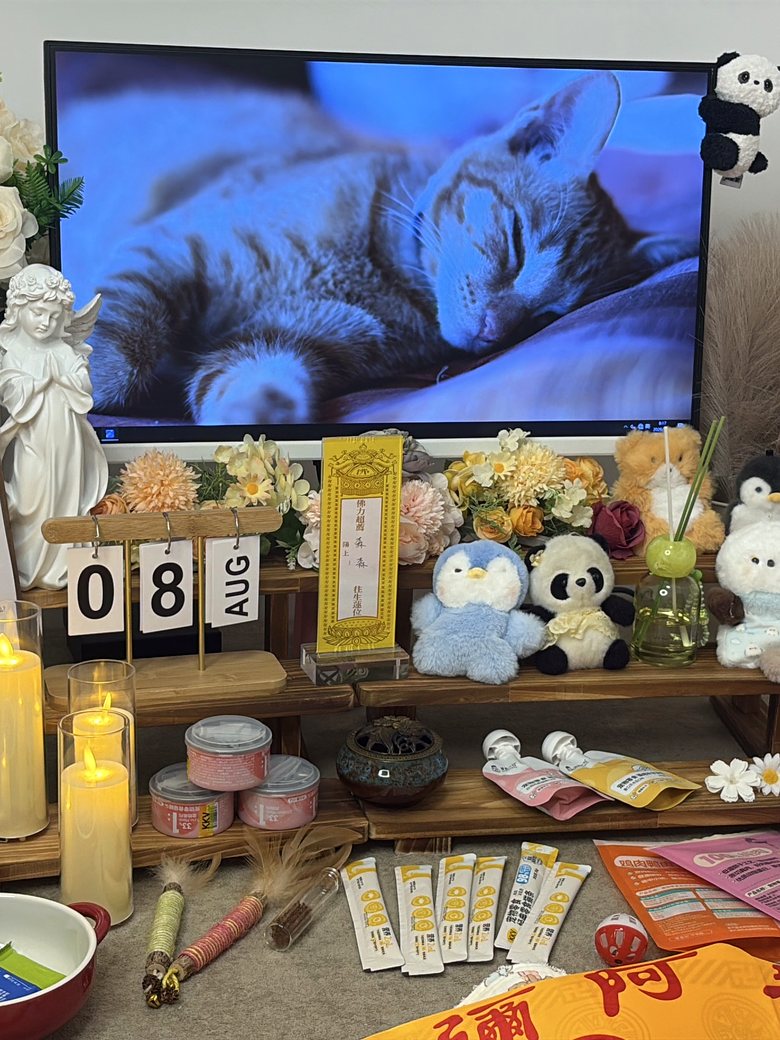 台州宠物殡葬门店告别厅环境